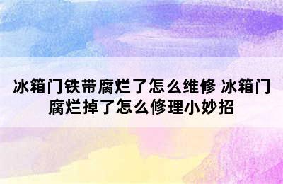 冰箱门铁带腐烂了怎么维修 冰箱门腐烂掉了怎么修理小妙招